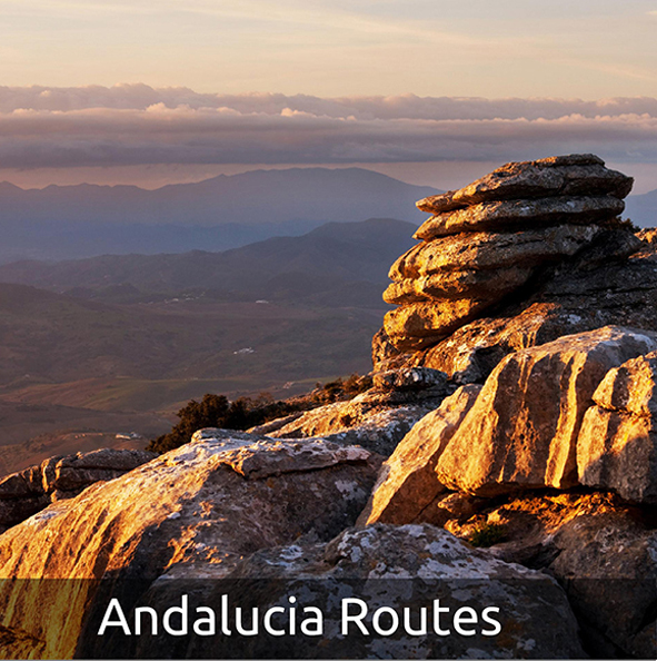 Andalusian Routes 1 day
